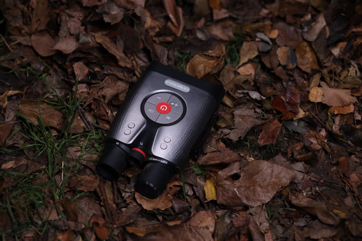 night storm x3 resting in autumn leaves